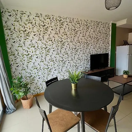 Verde, Amplio Apartamento En سانكسينكسو